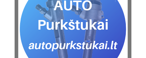 Dyzelinės kuro sistemos remontas autopurkstukai.lt