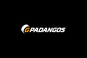 Gpadangos.lt - Padangos internetu